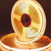 Waterproof COB LED Strip Light Warm White 10M Roll 480 LEDs IP68 3000k (12V) - RVSUNSHADES