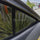 TOYOTA Corolla Sun Shade